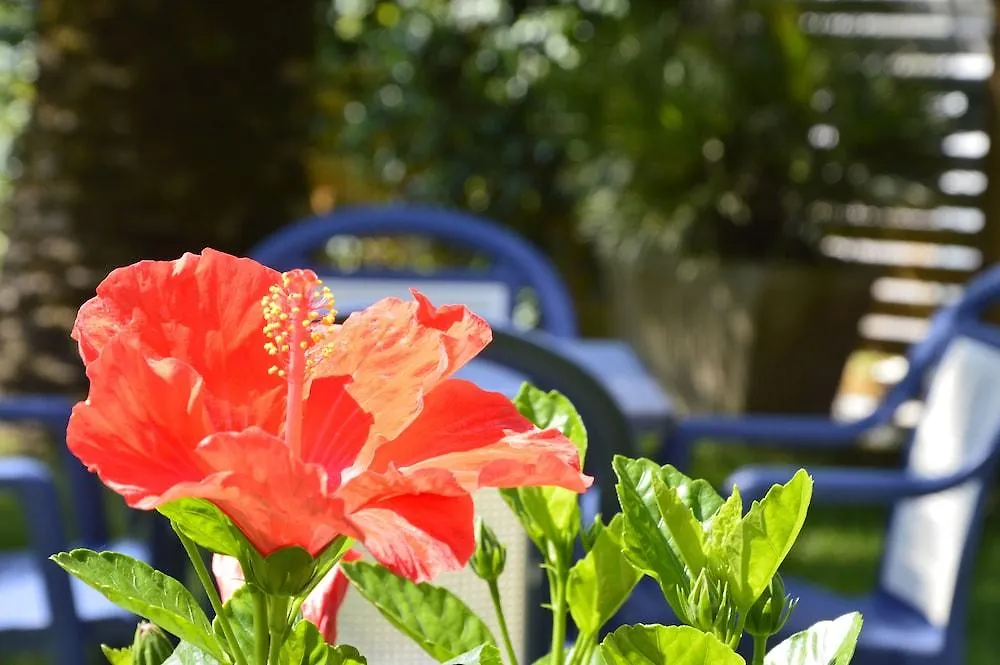 Hotel Fortunella Lido di Camaiore